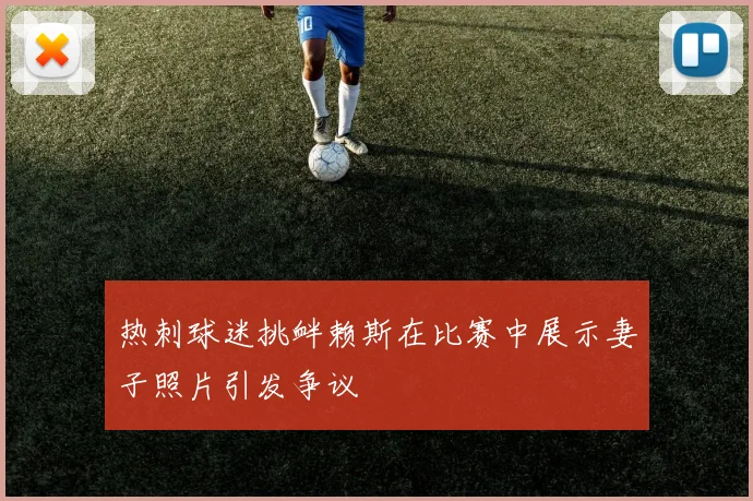 热刺球迷挑衅赖斯在比赛中展示妻子照片引发争议